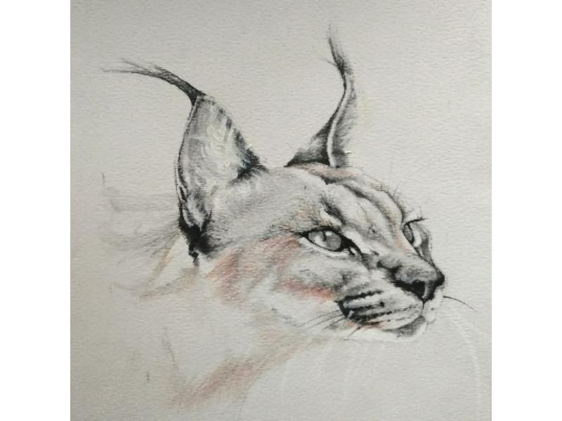 image020
